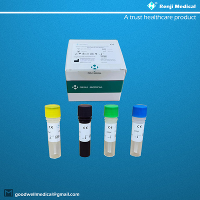 Yeni Koronavirüs COVID-19 Nükleik Asit Test Kiti CE Kalitatif Rt Pcr Testi