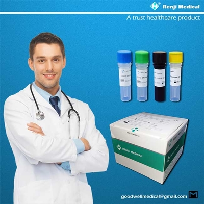 Faringeal Numuneler ile Tek Adımlı PCR Nükleik Asit Test Kiti